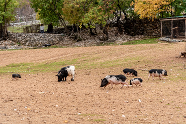 Similar image 22455865