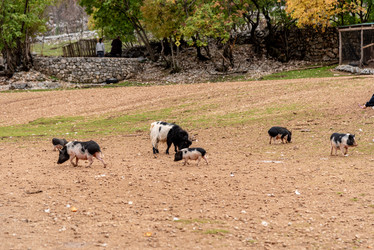 Similar image 22455866