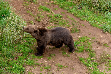 Similar image 22455867