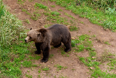 Similar image 22455869