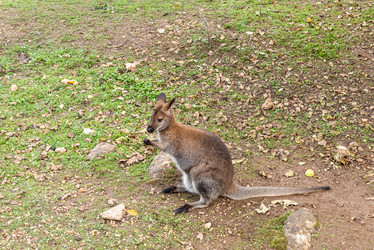 Similar image 22455870