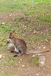 Similar image 22455885