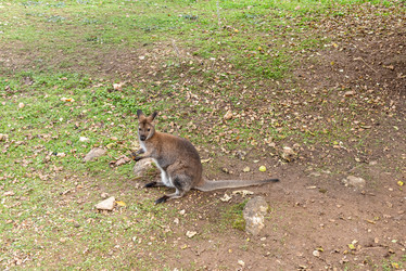 Similar image 22455914