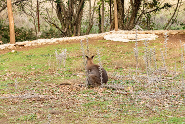 Similar image 22455943