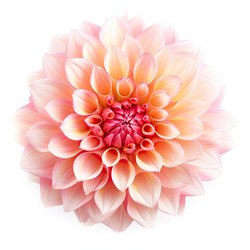 Similar image 22420485