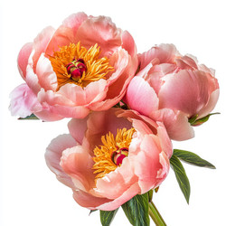 Similar image 22420490