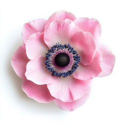 Similar image 22420492