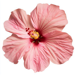 Similar image 22420494