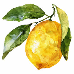 Similar image 22420504