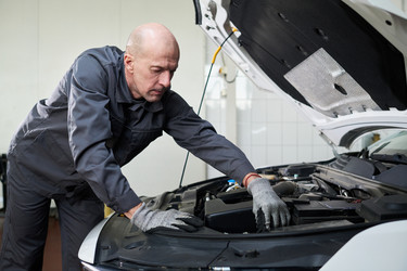 Similar image 22449397