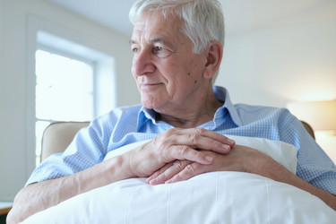 Similar image 22451093