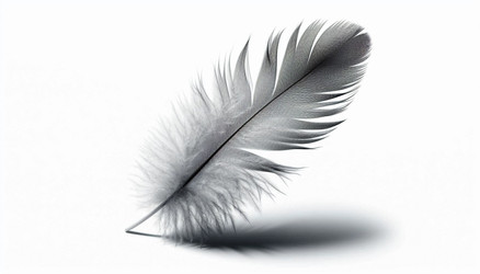 Similar image 22430929