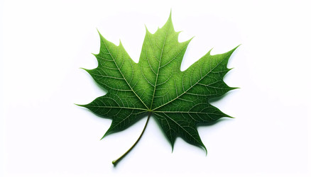 Similar image 22430939