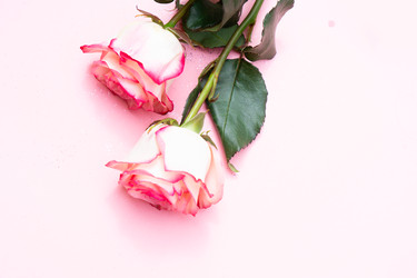 Similar image 22420574