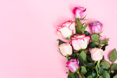 Similar image 22420575