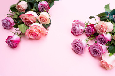 Similar image 22420576