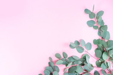 Similar image 22420579