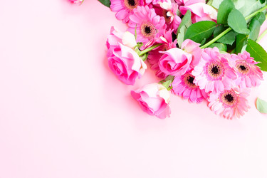 Similar image 22420582