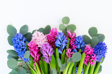 Similar image 22420585