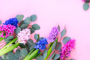 Similar image 22420588