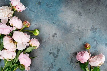 Similar image 22420591