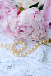 Similar image 22420596