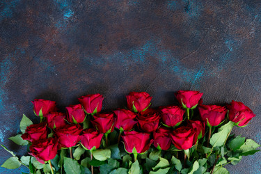 Similar image 22420598