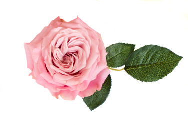 Similar image 22420606