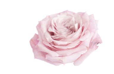 Similar image 22420607