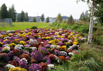 Similar image 22416197