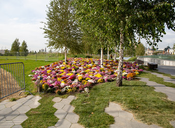 Similar image 22416199