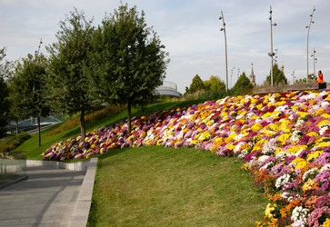 Similar image 22416207