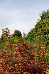 Similar image 22416222