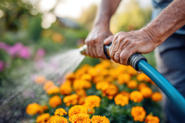 Similar image 22420747