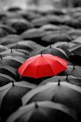 Similar image 22420764