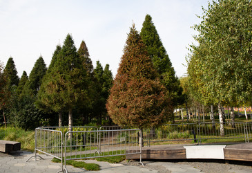 Similar image 22416168