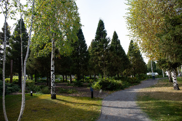 Similar image 22416171