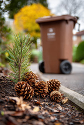 Similar image 22420887