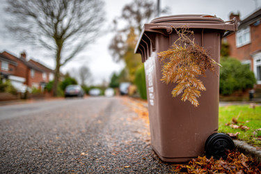 Similar image 22420888