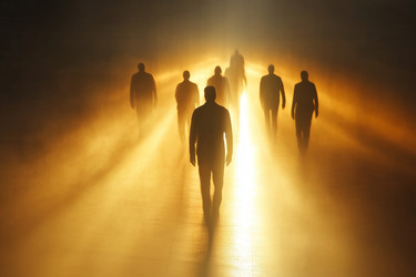 Similar image 22420932