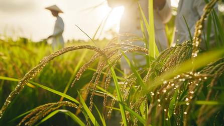 Similar image 22421005