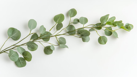 Similar image 22421069