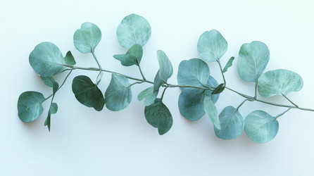 Similar image 22421070