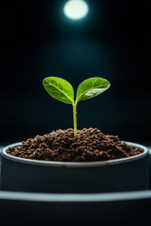 Similar image 22421130