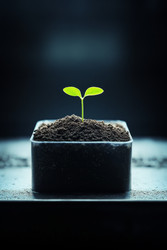 Similar image 22421131