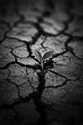 Similar image 22421146