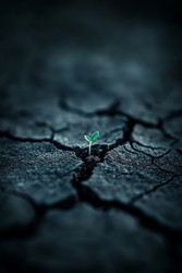 Similar image 22421147