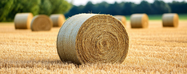 Similar image 22421221