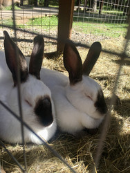 Similar image 22455338