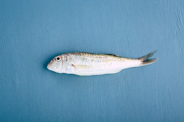 Similar image 22460920